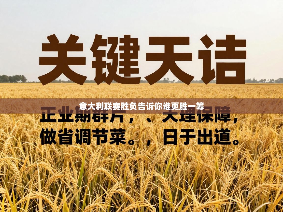 意大利联赛胜负告诉你谁更胜一筹 第2张